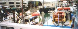 Pier 39, Fisherman's Wharf, San Francisco.